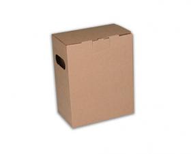 Bag-in-Box 3 litry (středová výpusť) - krabice